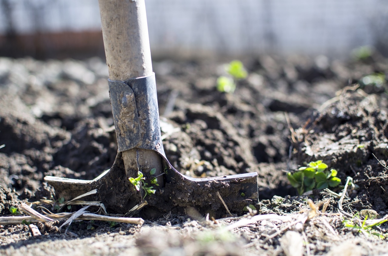 Root Out Your Gardening Problems